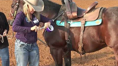 Joy Wargo – Taping Feet