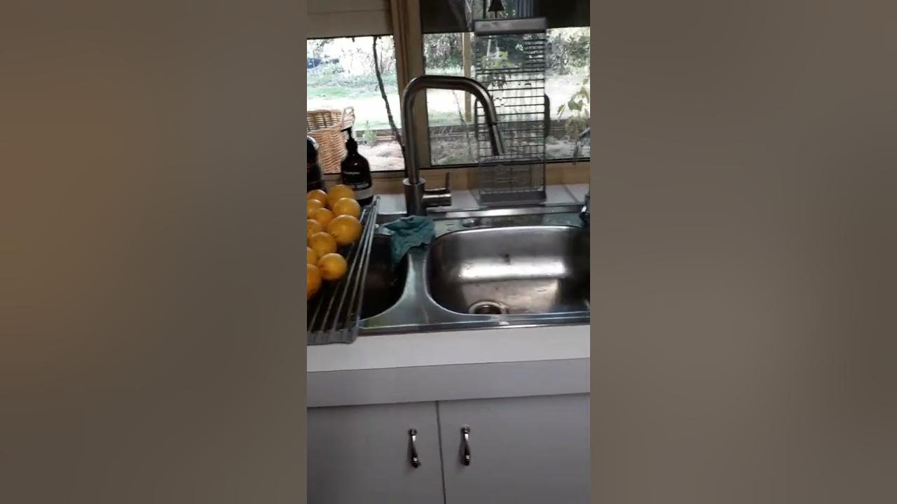 grapefruit harvest and keeping blood pressure just right! YouTube