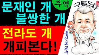 문재인 개! 전라도 개! 불쌍한 개! 문재인 개피본다! 에 대한 강의입니다~/상담문의 : 010-9563-2…