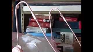 "My Garage: An Object Lesson In Plan, Do, Review & Adjust"