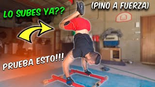 PINO A FUERZA 💪🏼 Mejor Ejercicio para Sacar el Pino a Fuerza | Calistenia