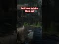 Just have to take them out #rdr2