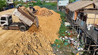 Epic9! Pour soil Delete The Lake around the house by 5Ton Truck Drop Soil & Small Dozer Push