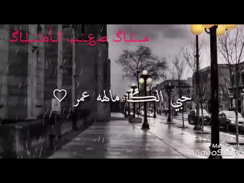 قد المطر كثر الشجر حبي الك مالو عمر