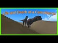 Roblox|Era of Terror| Life and Death of a Carnotaurus