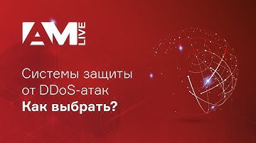 Системы защиты от DDoS-атак: как обеспечить доступность веб-сайта?