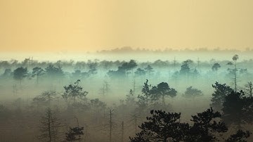 Resurrection Remix Nougat 7.1 running on Nexus 5