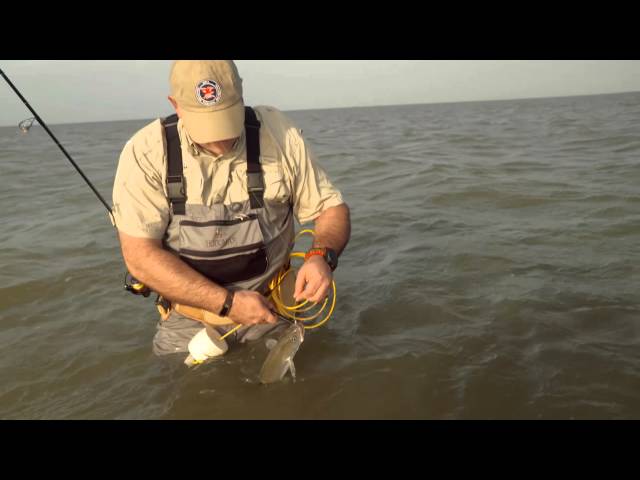 Wade Fishing In The Salty Shallows Of Baffin Bay 