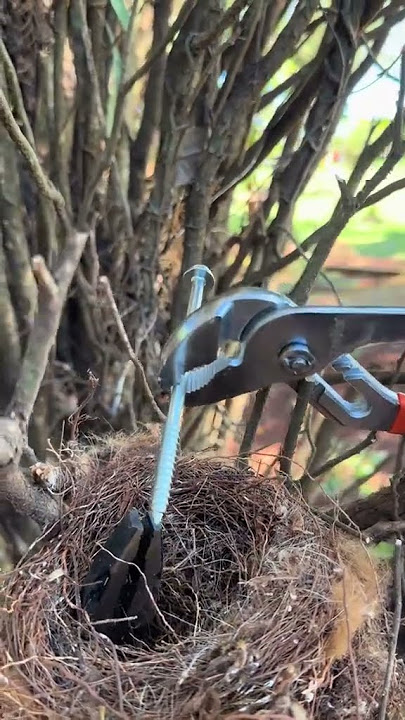 I found him feeding interesting confusing behavior