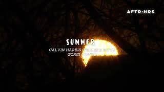 Calvin Harris - Summer (Filous & Kitty Gorgi Cover)