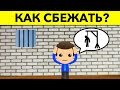 5 НОВЫХ ГОЛОВОЛОМОК, КОТОРЫЕ ПРОВЕРЯТ ВАШ ИНТЕЛЛЕКТ