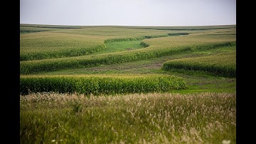 What is a CSR Score? #1