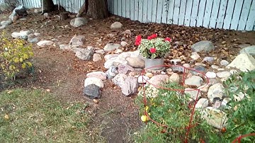 BLU Advance HD Video Sample