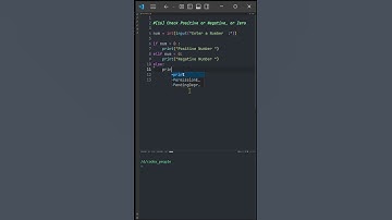 [16] Python Positive, Negative or Zero Program | Check Number Type | Codex People #python #coding