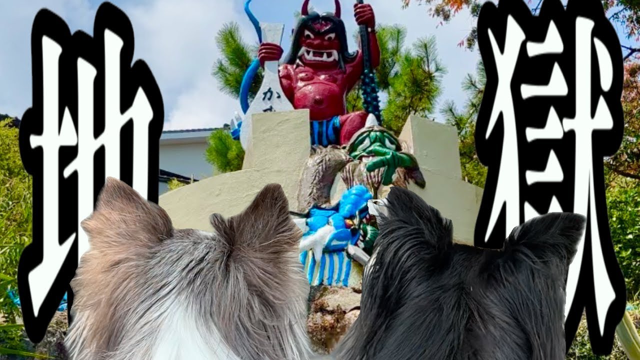 【大分・別府地獄めぐり】犬連れOK！チワワと行く癒しの“地獄”観光ルート！