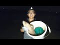 渔夫赶海运气大爆发，抓到500一斤大鱼，是石斑中的极品