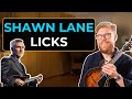 Shawn lane bluegrass mandolin licks  old dangerfield cpart