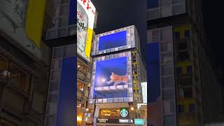 Cute Giant 3D Akita Dog On Screen  #cute #akitadog #3dscreen