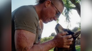 Tanner & Rei: The Adventure of an Amputee and his Rescue Dog
