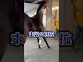 お馬さんたちは やっぱりコレが苦手みたいです🤭