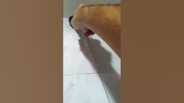 How to use a PS Move controller