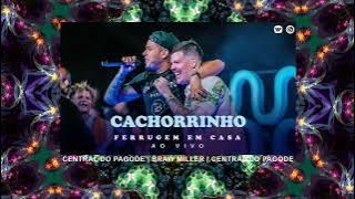 Ferrugem - Cachorrinho | 2022