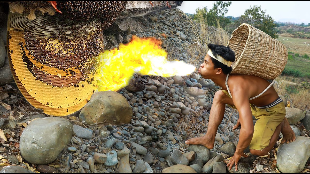 survival in the rainforest - BEE  POTATO