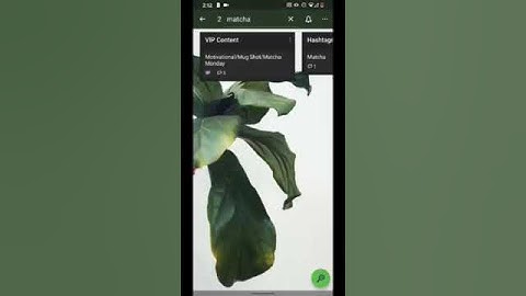 How to Search in Trello