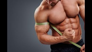 Pump It Up: The Science of Muscle Building