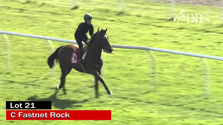 DBS Breeze Up Sale 2015 Lot 21