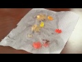 Tsaparis Tscience: Halloween Candy Experiments