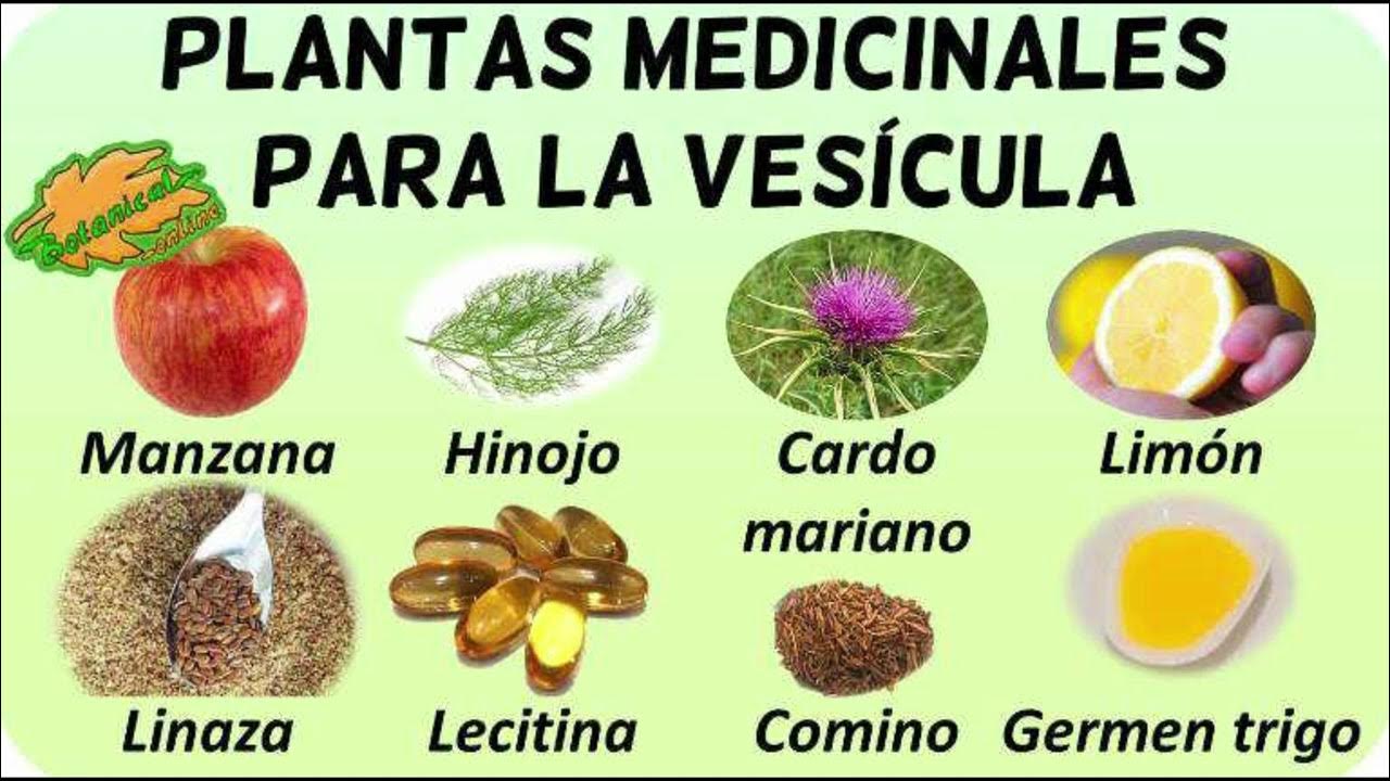 Dieta para personas sin vesicula