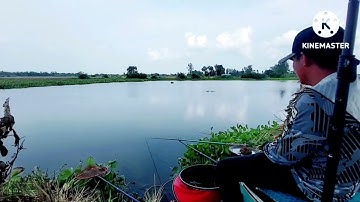 Câu đài...Giao lưu cùng Ae câu cá sông tự nhiên..A Bi từ Tp.HCM về Gò Công giao lưu vui vẻ 😁 #câucá