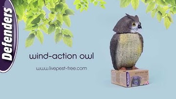 Deter birds from garden areas with Wind-Action Owl (STV965) from Defenders