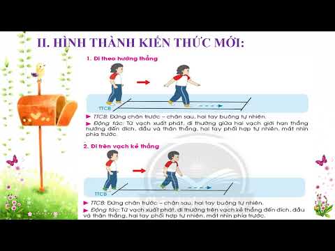 Tuần 15 - Thể Dục - Bài: Tư thế và kĩ năng vận động cơ bản