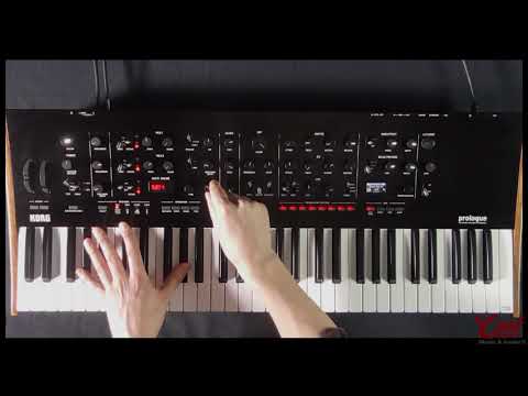 KORG Prologue: Hybrid & Bi-Timbral Sound Design