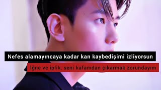 Shawn Mendes-Stitches Türkçe Çeviri