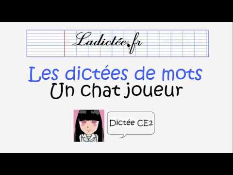 Un Chat Joueur Dictee De Mots Preparatoire Pour La Dictee Ce2 Voir Sur Ladictee Fr Youtube