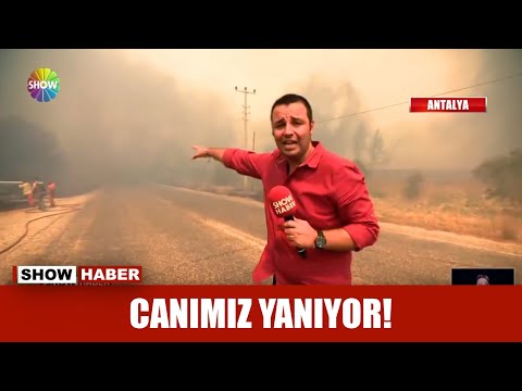 İçimiz yanıyor!