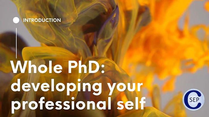 Whole PhD: developing your professional self - Intro