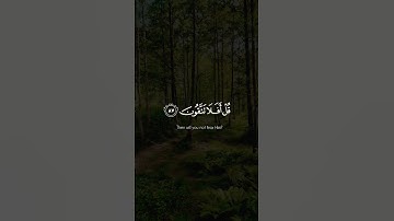الشيخ ياسر الدوسري سوره المؤمنون 🤍🎧 #quran #قرآن #قران_كريم #ياسر_الدوسري #راحة_نفسية