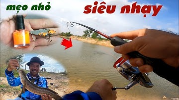Câu Lure Cá Lóc ✅ Mẹo Nhỏ Khi Lure Cá Lóc Bằng Cá Sắt Siêu Nhạy / Cá Sắt Orochi | Tâm Râu Vlog #306