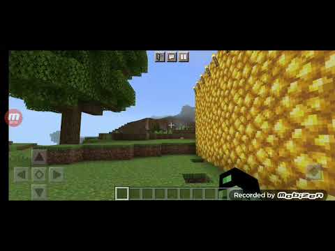 ბოდიშით სატენი სხვაგან ფამჩა და მაგიტი