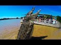 BIGGEST Crocodiles In The World!