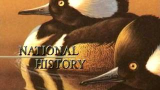 Mark Anderson Federal Duck Stamp 2005