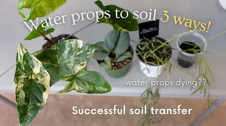 How to transfer WATER propagations to SOIL success...