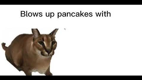 Blows Up Pancakes with MIND
