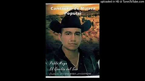 EL GAVILN AUTOR PABLO MAYA EL GAVILN DEL SUR