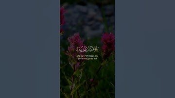 #محمد_صديق_المنشاوي#تلاوة #آيات #القرآن_الكريم #تلاوة_خاشعة #القرآن #تلاوات #quran #قرآن #قران_كريم