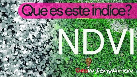Como analisar NDVI?